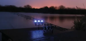 Pêche de nuit interdite 